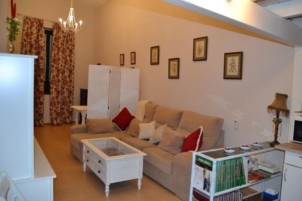 Loft En El Centro De Sevilla Dış mekan fotoğraf